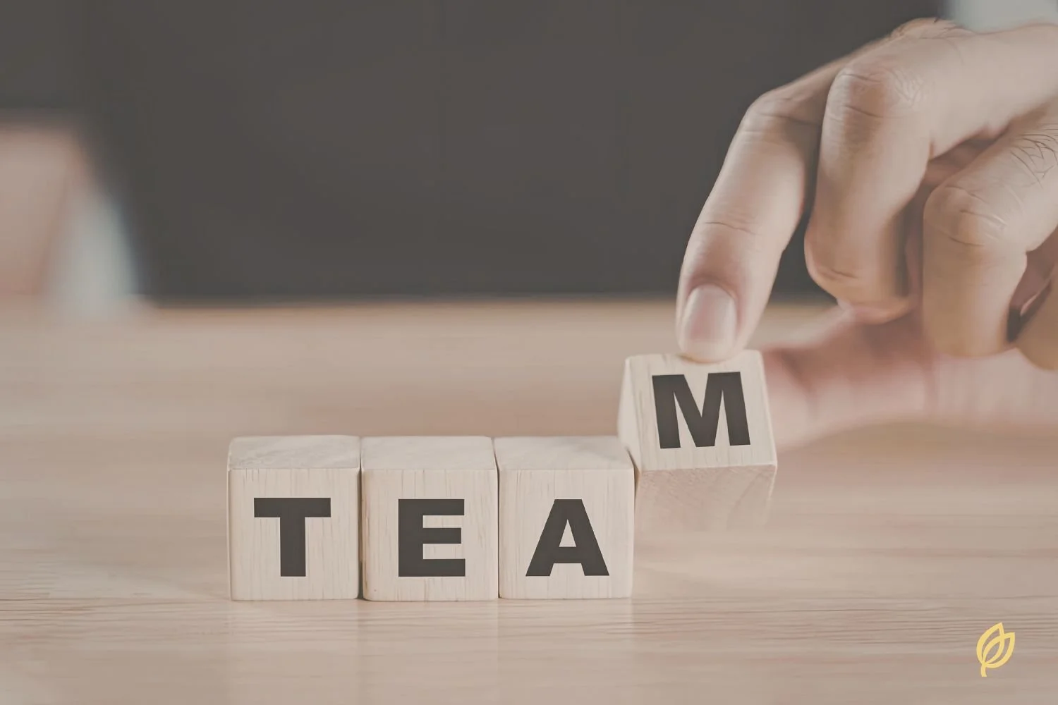 Do you need a Marketing Director or a marketing team: how to structure marketing for growth