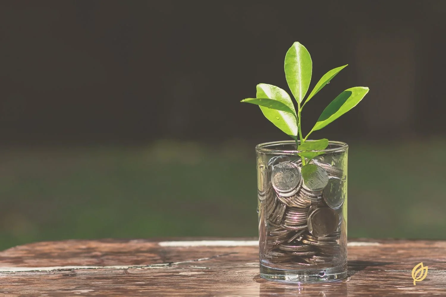 Why small businesses should invest in AI-forward marketing before they feel ready
