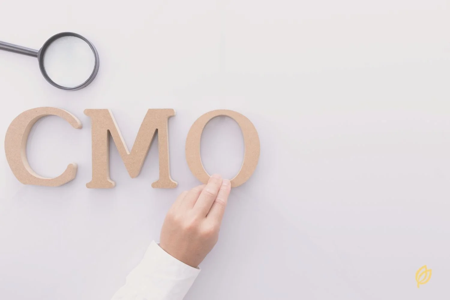 What a Fractional CMO Actually Does Day to Day