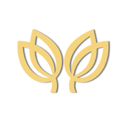 Brand & Messaging Clarity