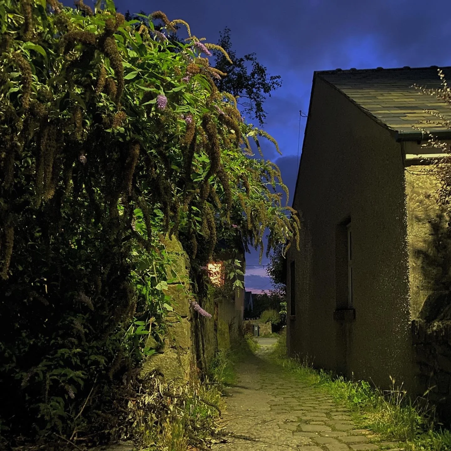 January is for Deleting Instagram Forever