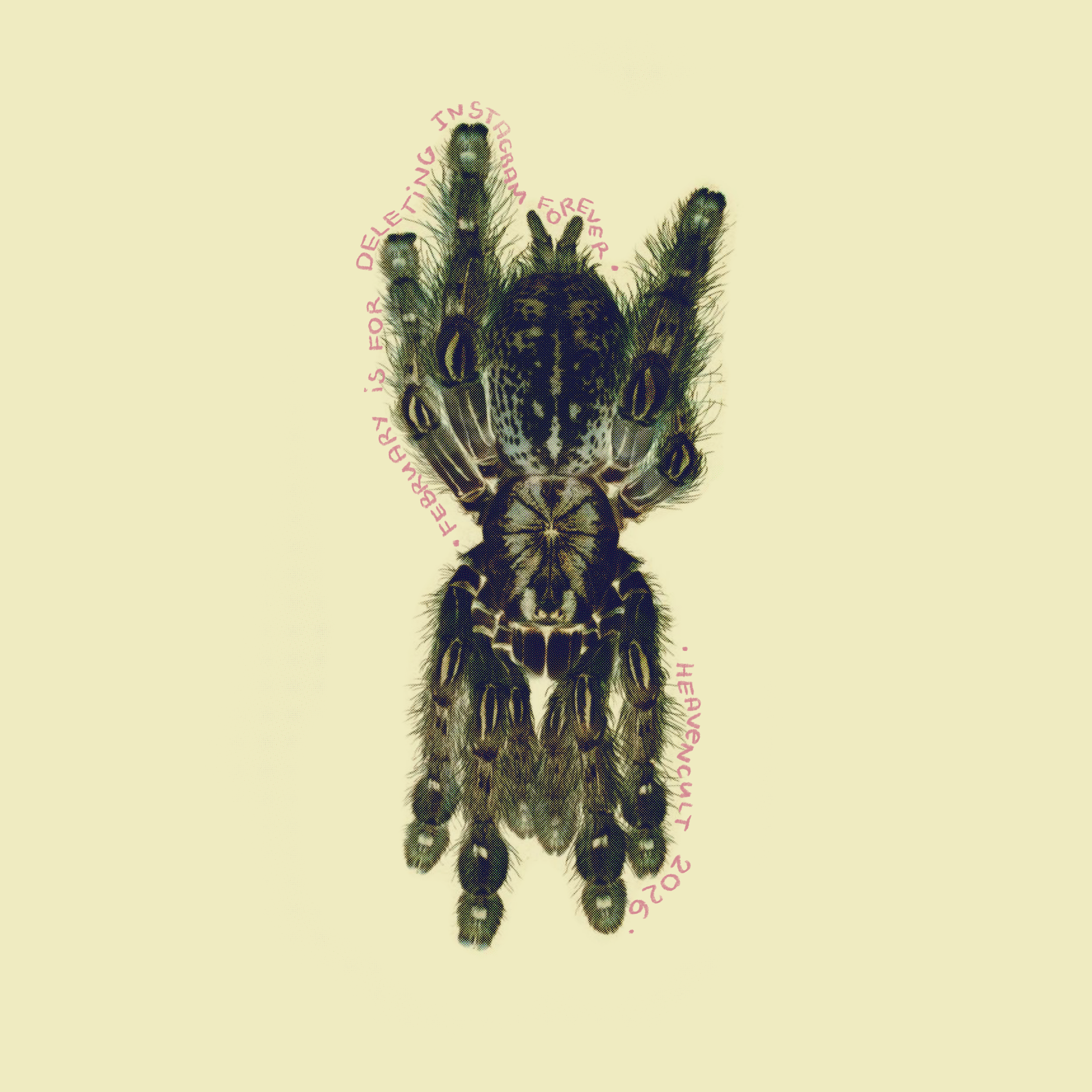 February is for Deleting Instagram Forever