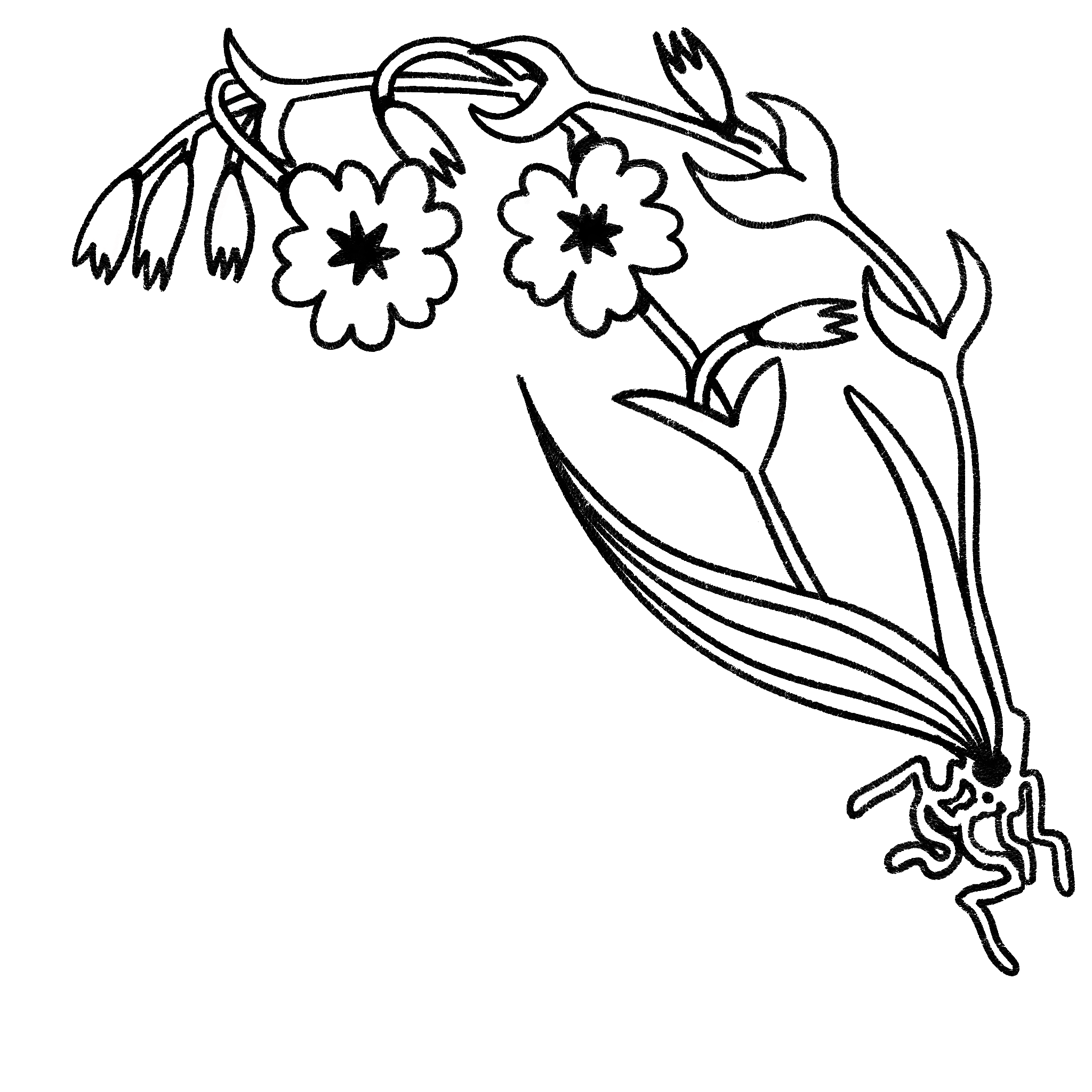 Stylized black and white illustration of a bouquet of small flowers and leaves.