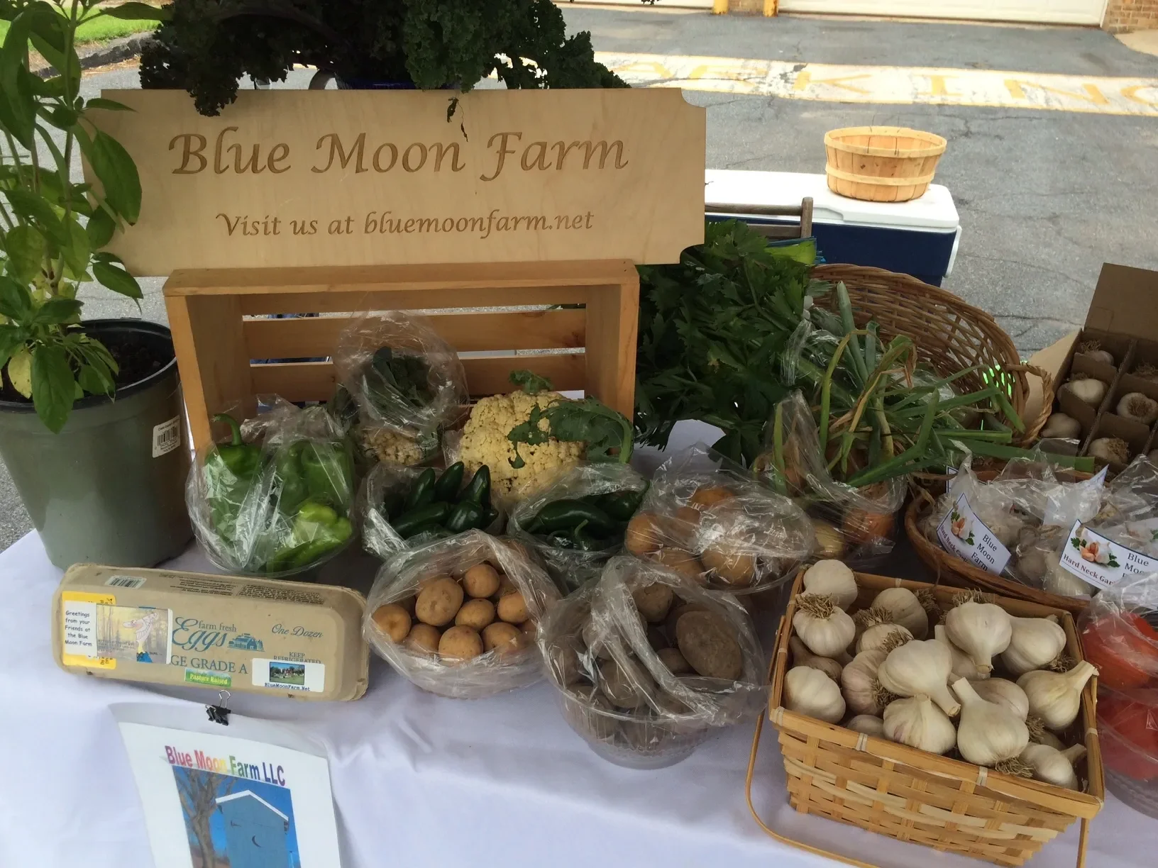 Blue Moon Farm