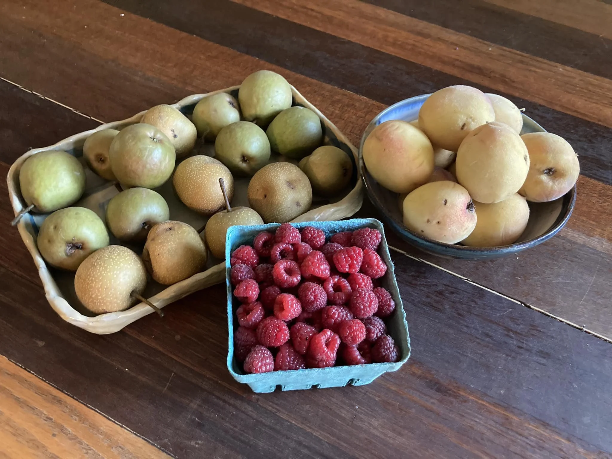 Morning Glory &amp; Bumble Bee