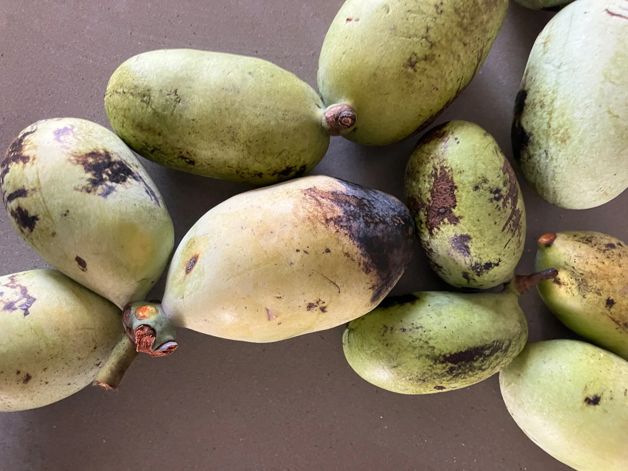 Lower Neshanic Community Farm