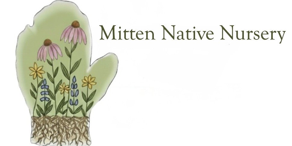 Mitten Native Nursery, LLC