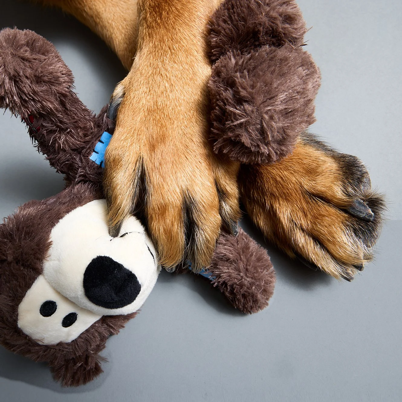 Hundepfote hält Stofftier in Form eines Hundes auf grauem Hintergrund.