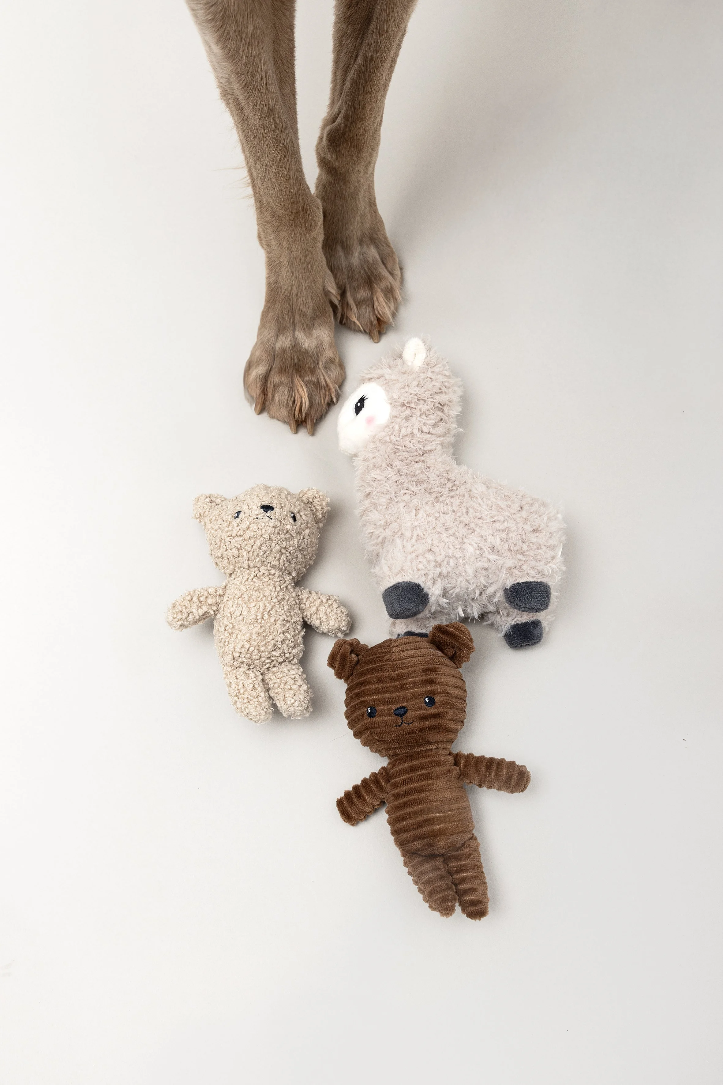 Verschiedene Plüschtiere, darunter ein Lama, ein Bär, eine Giraffe, ein Hund und ein Affe, hängen an einer Schnur.