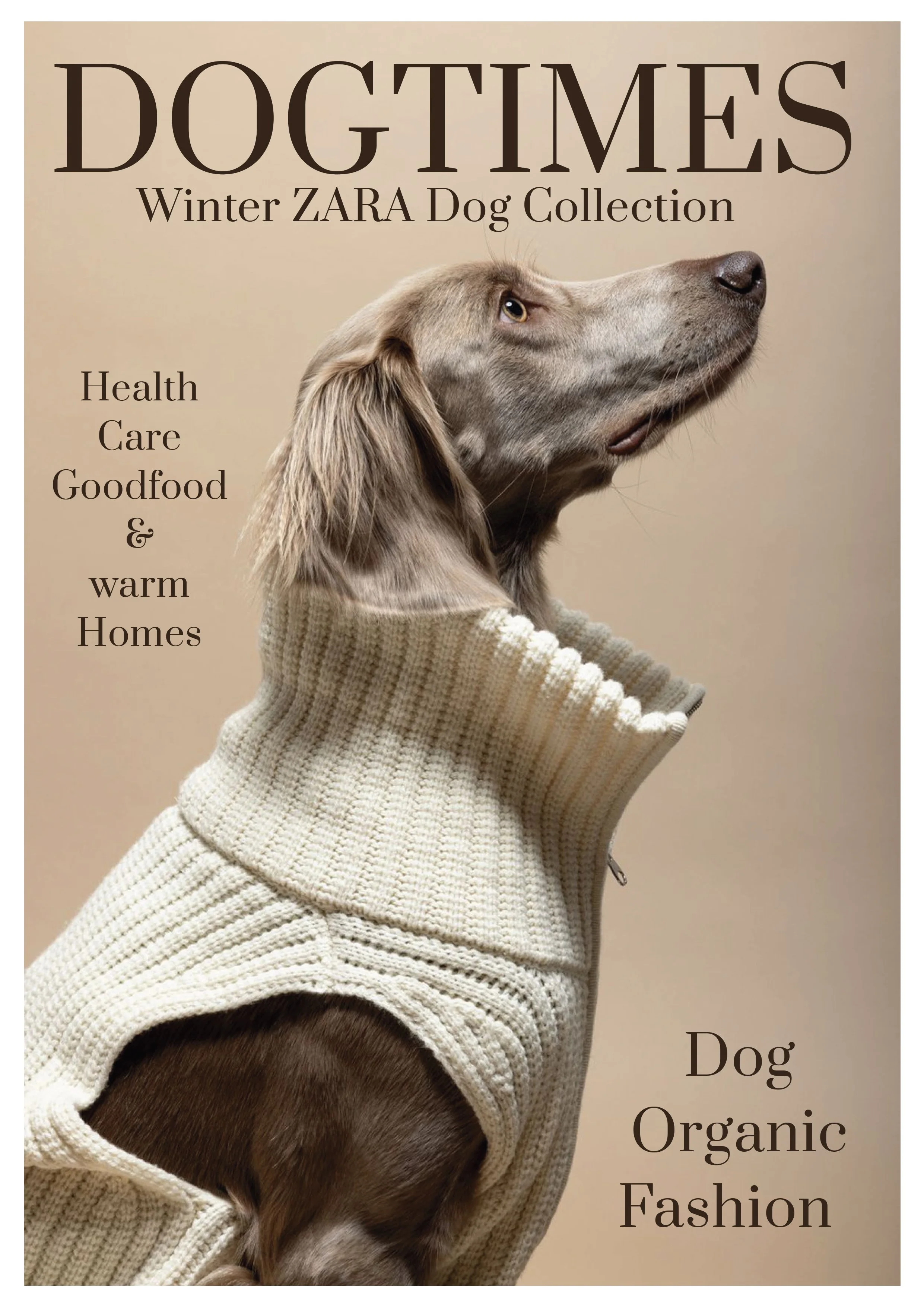 Werbetafel mit einem Hund in einem beigefarbenen Pullover, der für eine Hundemodekollektion wirbt. Text: 'DOGTIMES Winter ZARA Dog Collection, Gesundheit, Pflege, gutes Essen & warme Zuhause, Hund biologisch Mode'.