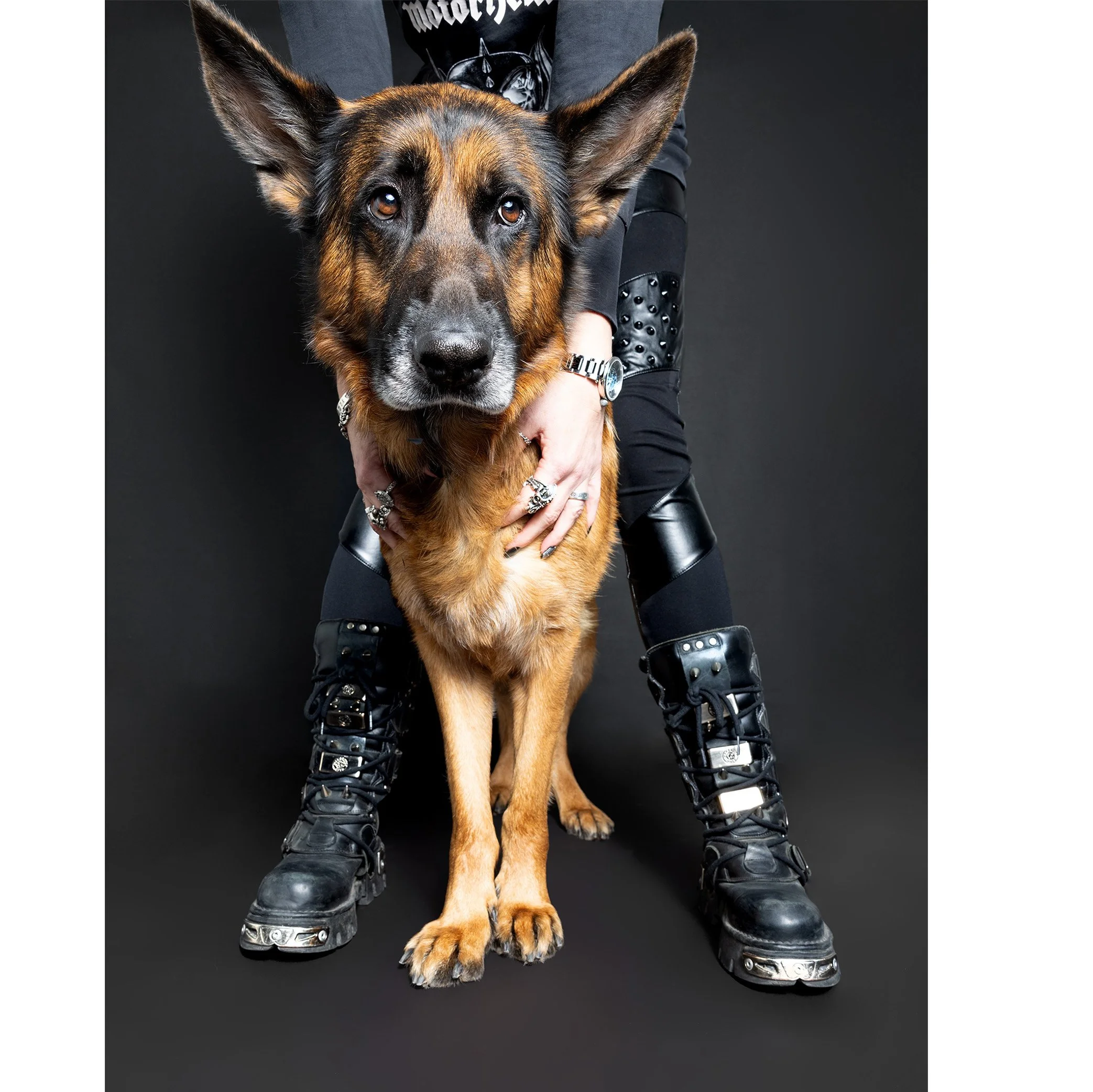 Ein Hund wird von einer Person mit schwarzen Stiefeln und dunkler Kleidung gehalten, vor einem schwarzen Hintergrund.