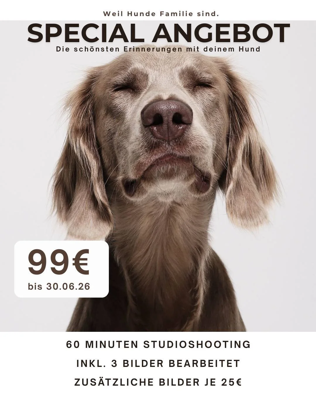 Werbeplakat für ein Fotoshooting mit Hund, zeigt einen entspannten braunen Hund, Text erwähnt 60 Minuten Studioaufnahmen, drei bearbeitete Bilder, zusätzliche Bilder für 25 Euro, Preis 99 Euro bis 30.06.26.