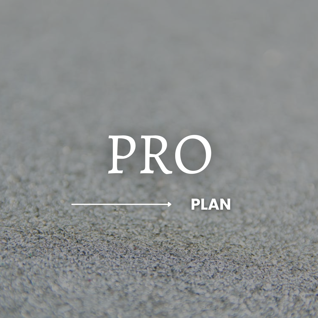 Pro Plan