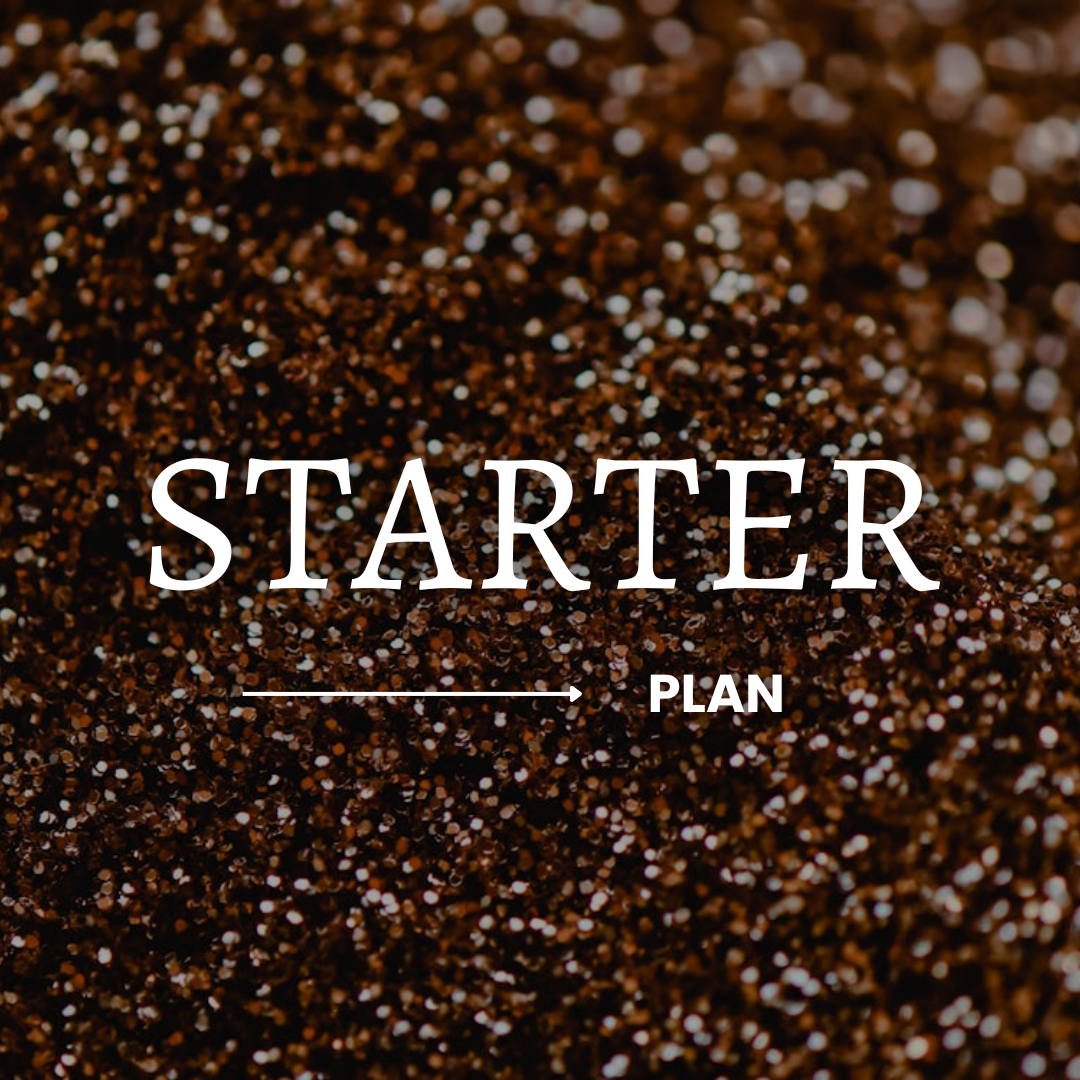 Starter Plan