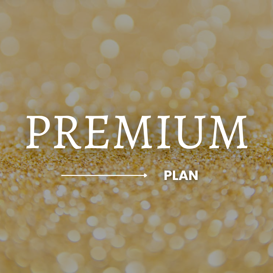Premium Plan