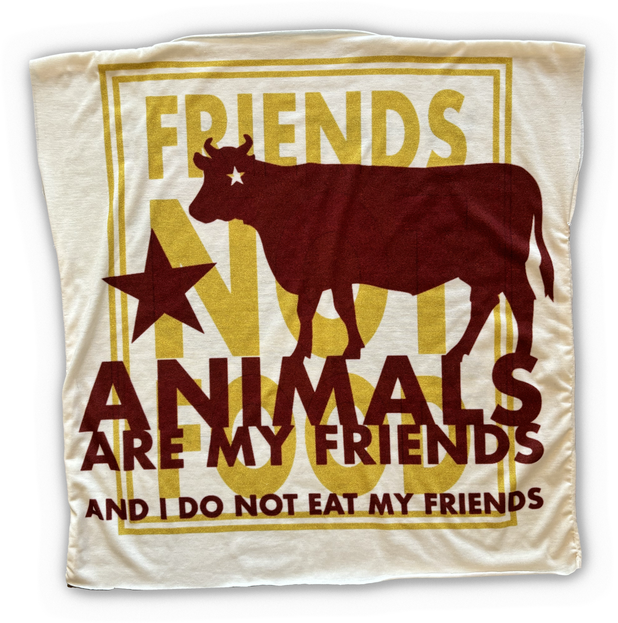 VEGAN t-shirt2 copy.png