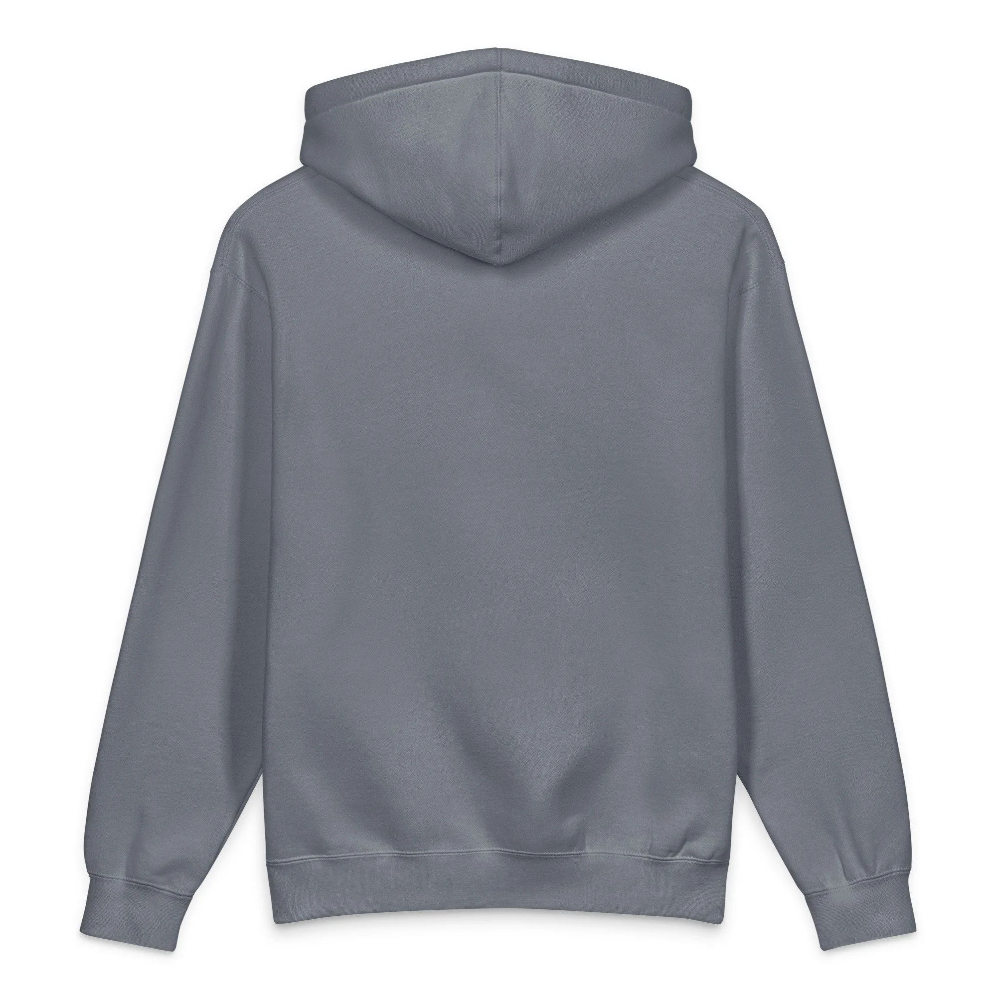 unisex-heavyweight-hooded-sweatshirt-storm-blue-back-69f01fc2153c6.jpg