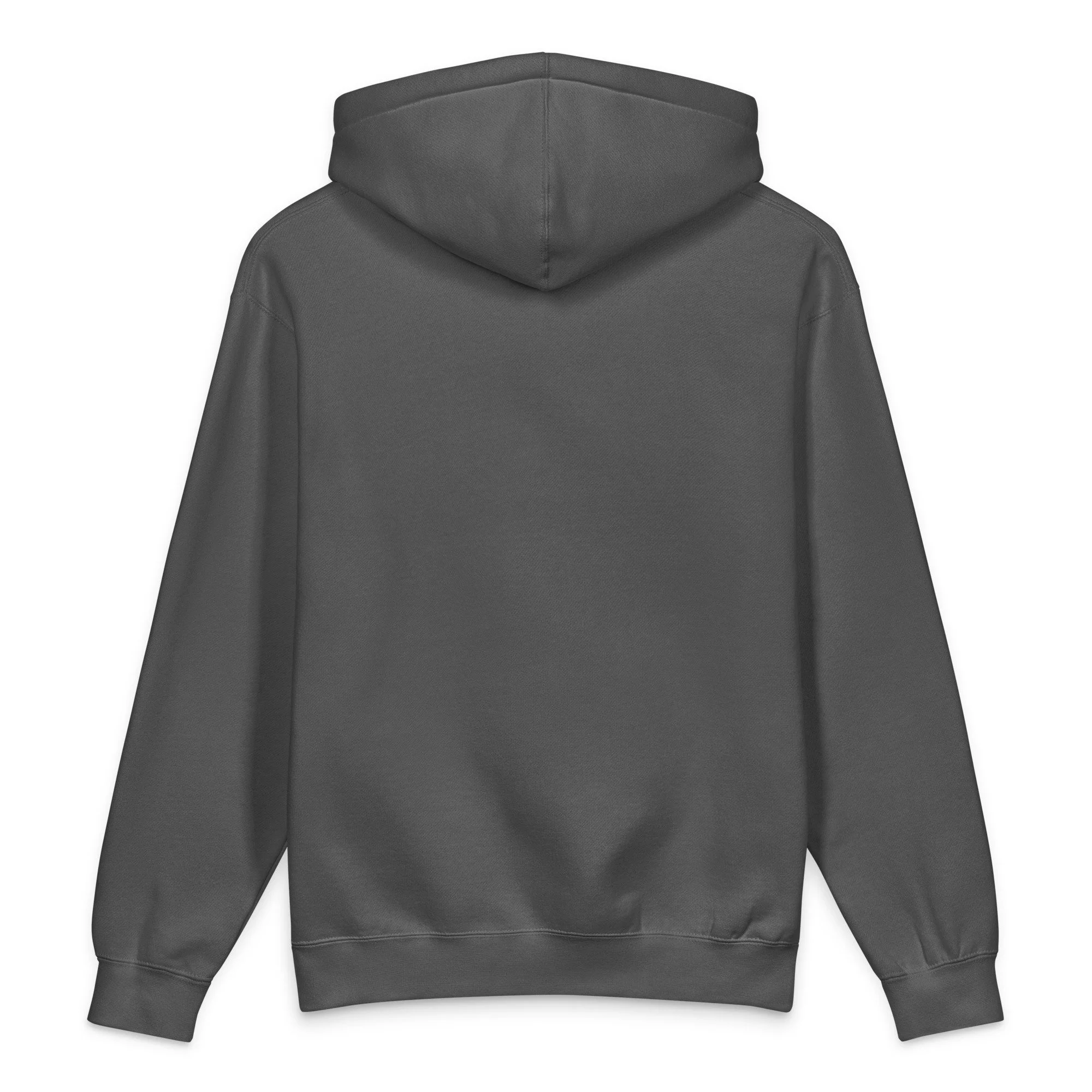 unisex-heavyweight-hooded-sweatshirt-charcoal-solid-back-69f22a16617db.jpg