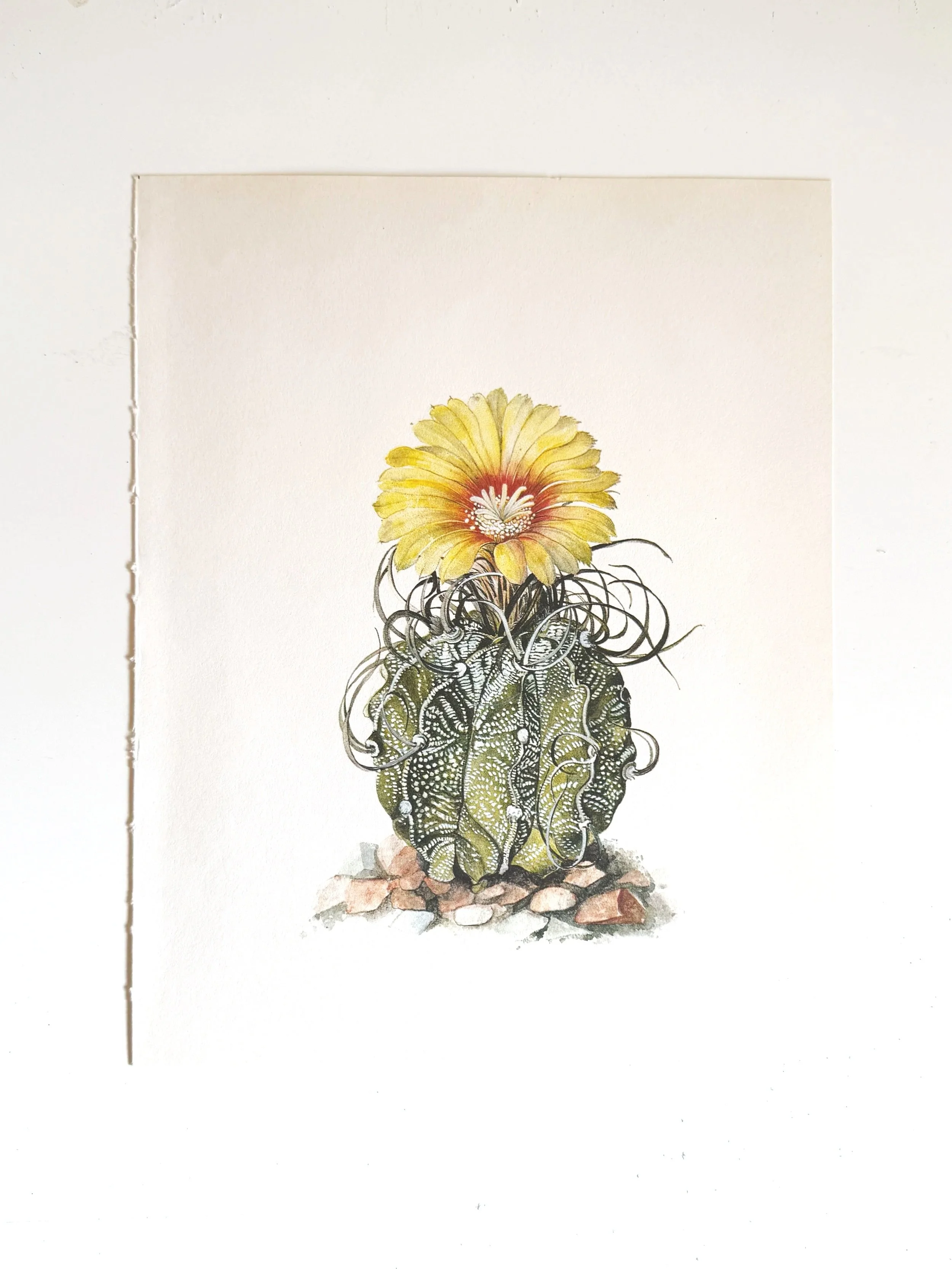 Vintage Desert Print