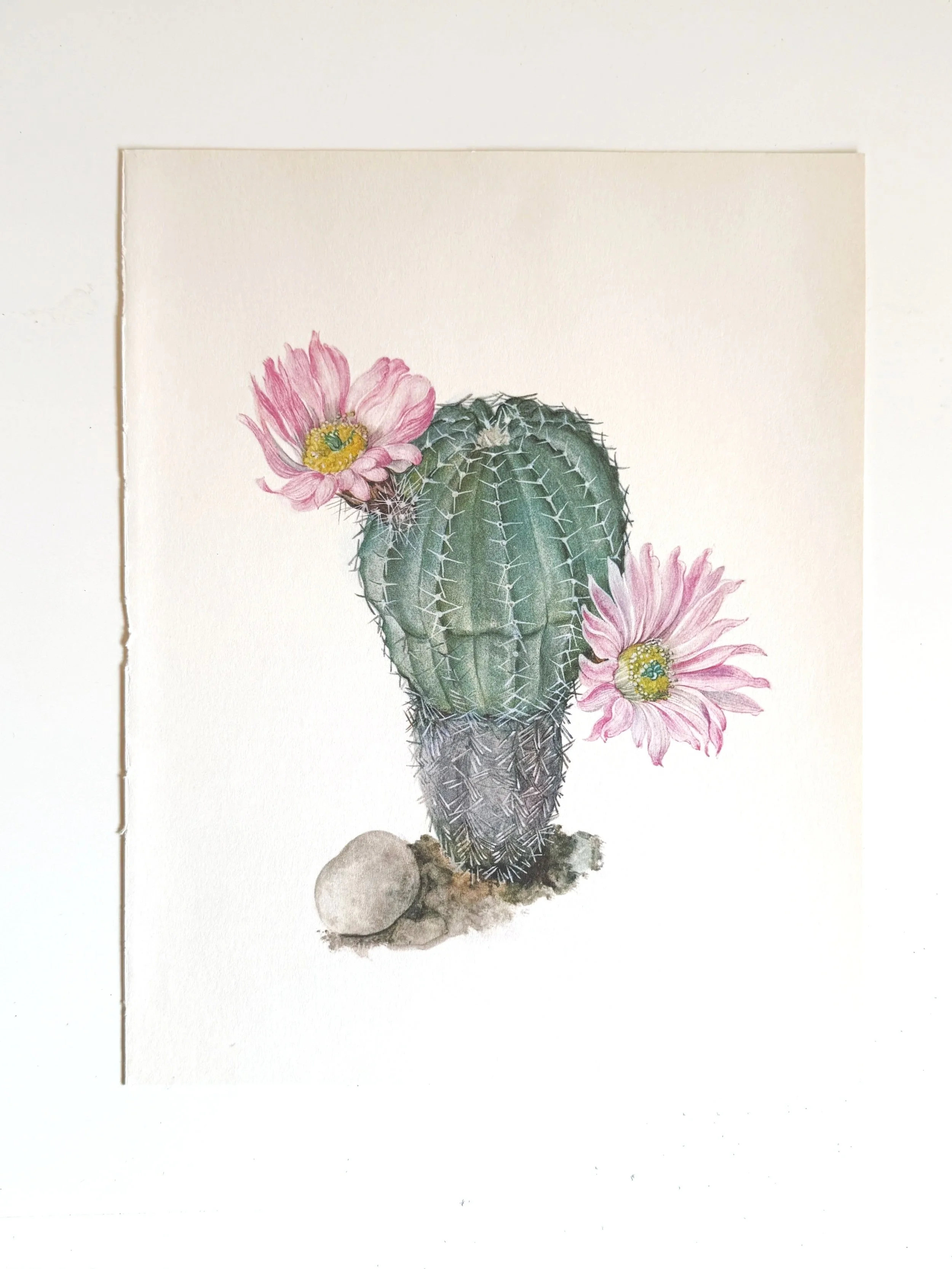 Vintage Desert Print