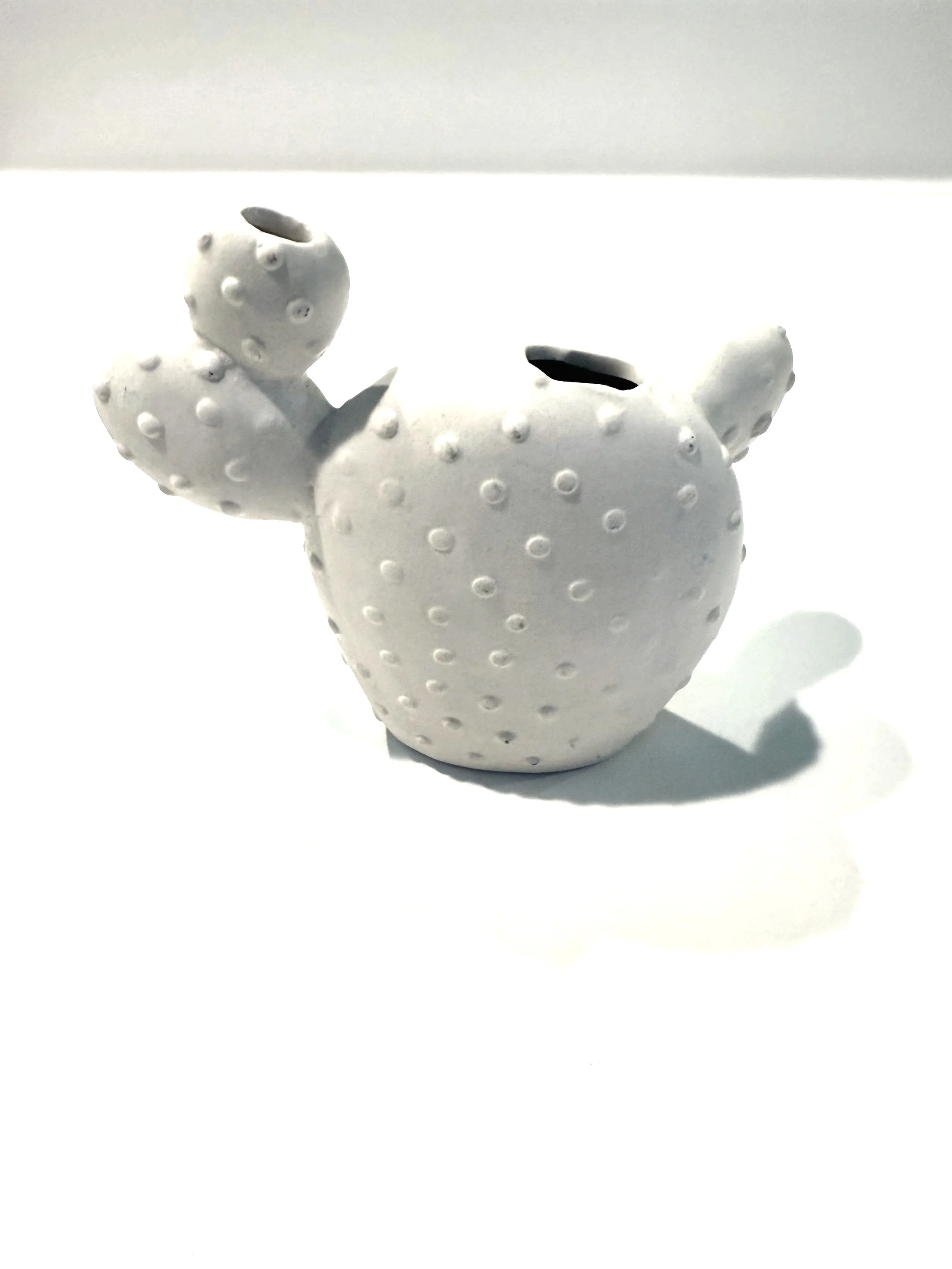 Cactus Pencil Holder