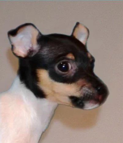 Babyike.jpg