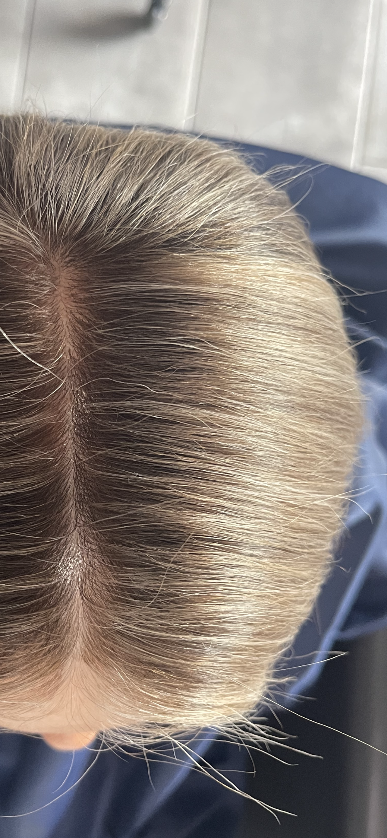 Freshly highlighted hair to help blend out grey new growth. 