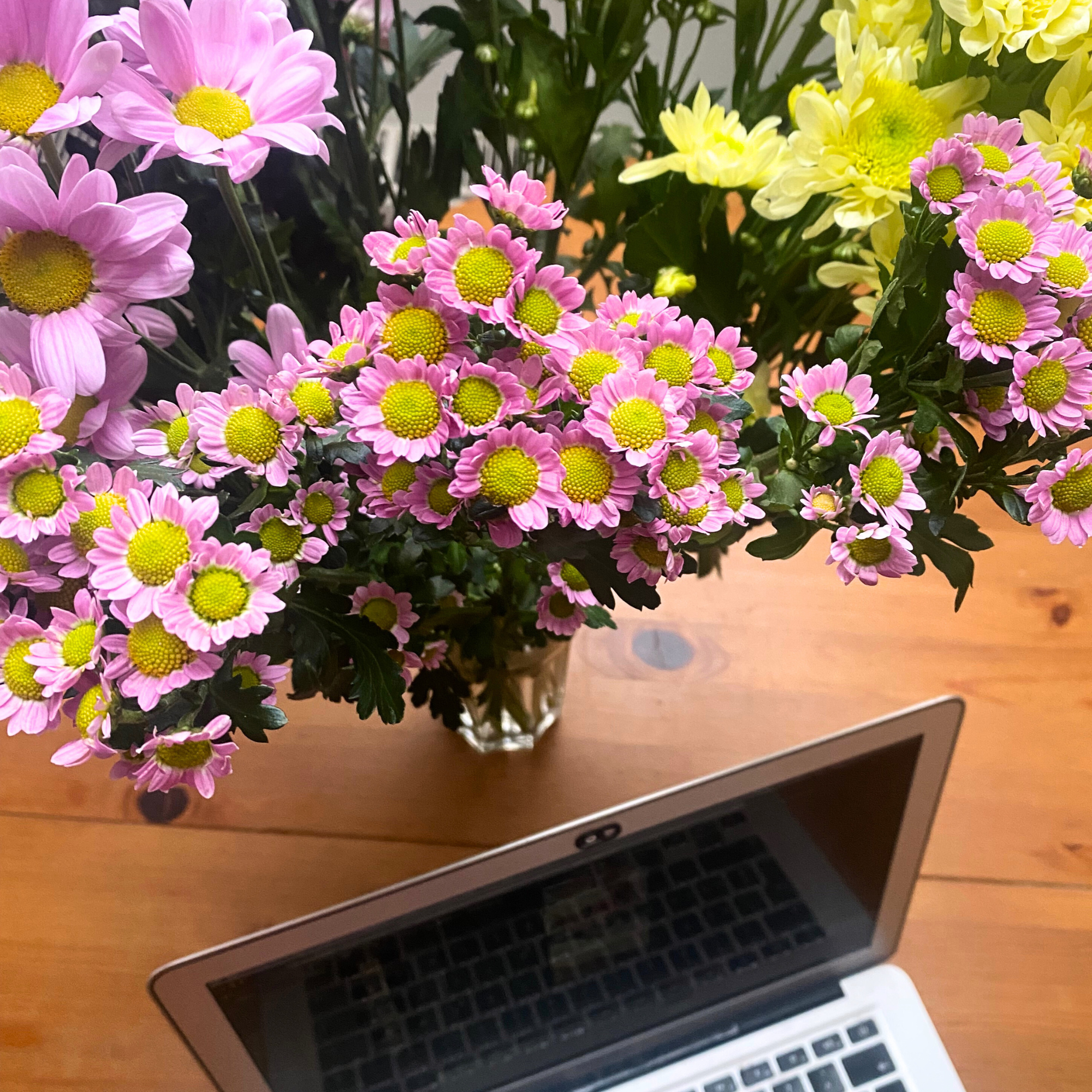 Persönlicher Kommunikationsservice Wien | www.madeleinekulle.at