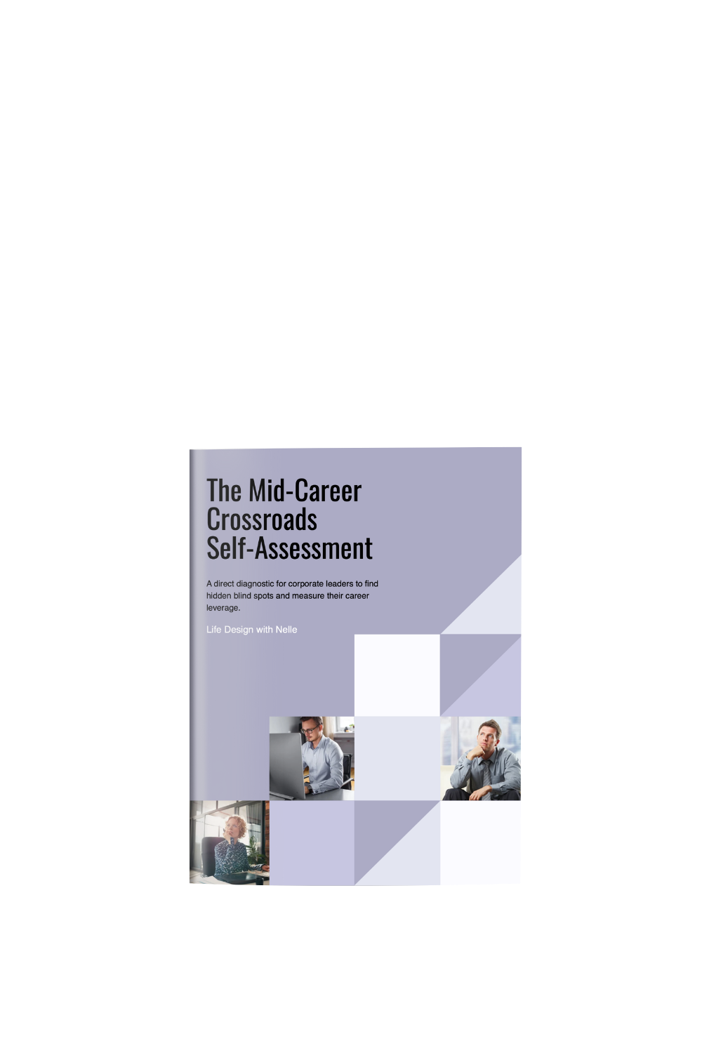 MidCareerAssessmentCover.png