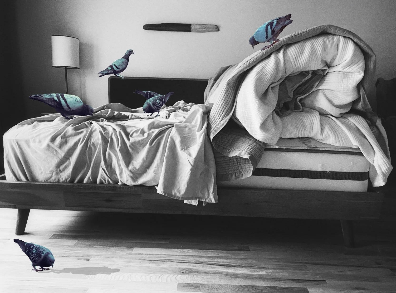 Untitled_Artwork (8).jpg