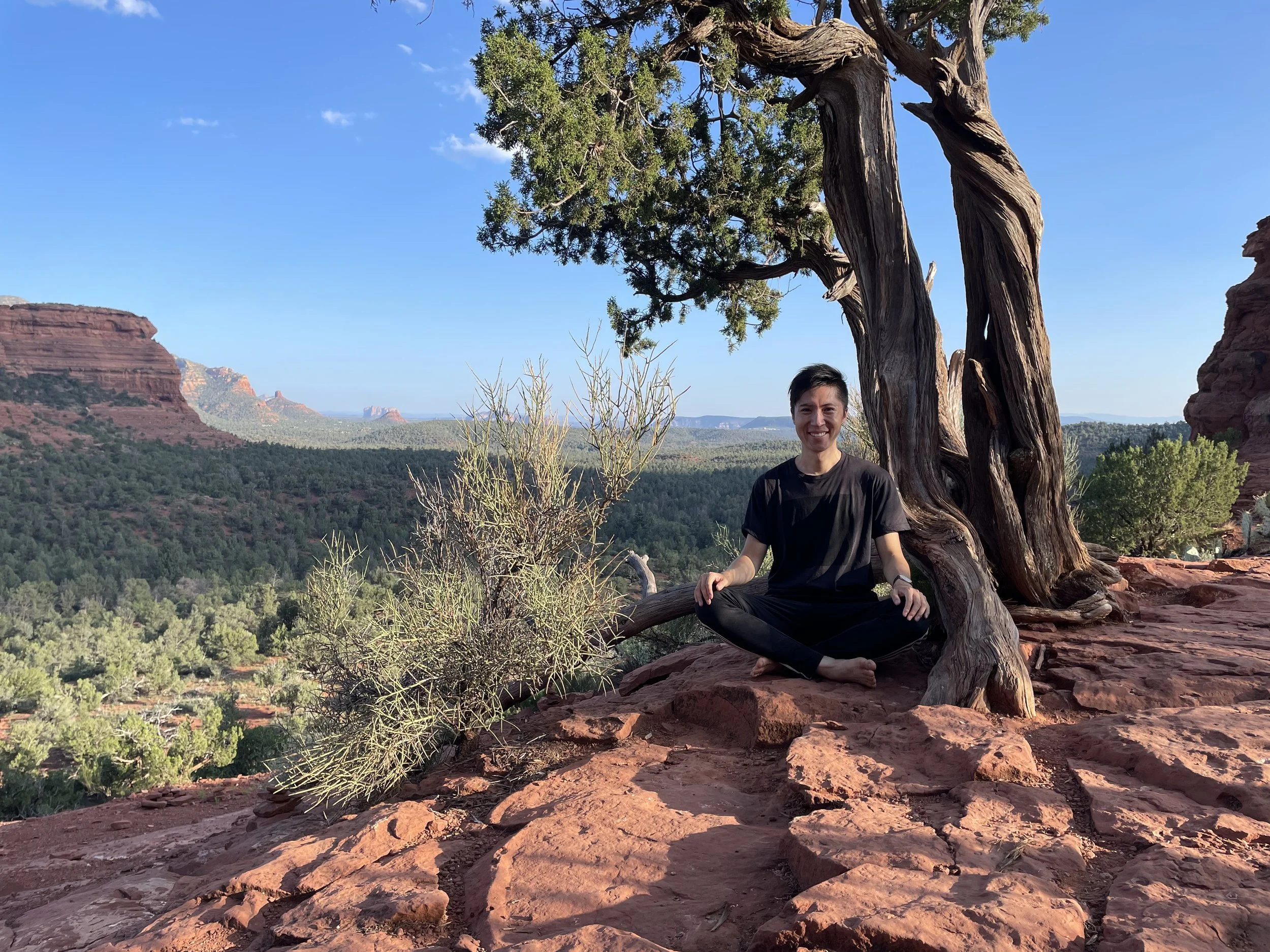 A person in black clothing is sitting cross-legged on red rock in a desert landscape with a large, twisted tree beside them. The background shows distant red cliffs, green forest, and a clear blue sky.