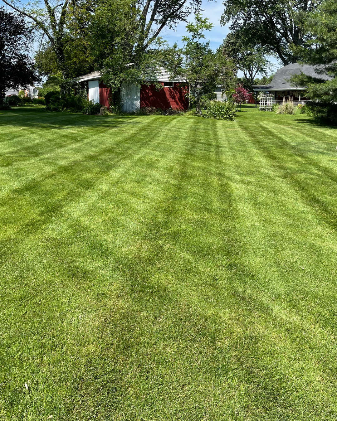 Untitled design (8).png