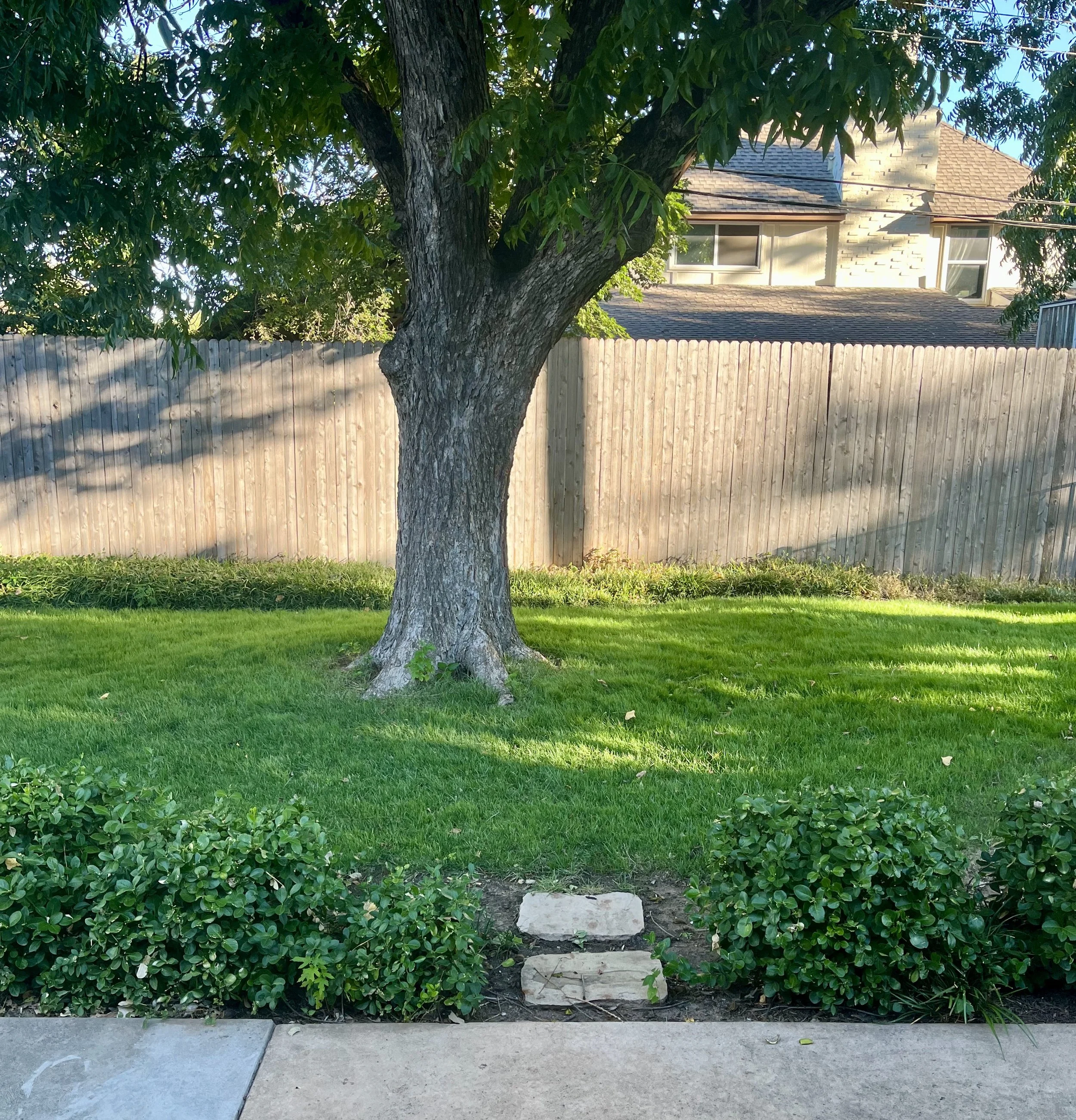 lawn weed control fertilization service Edmond OKC Yukon Mustang Oklahoma