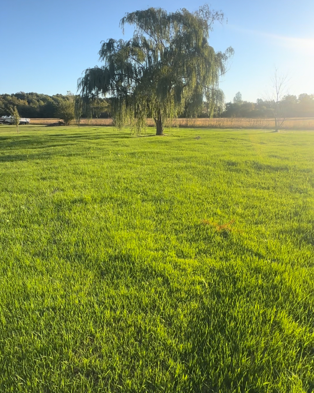 Untitled design (10).png