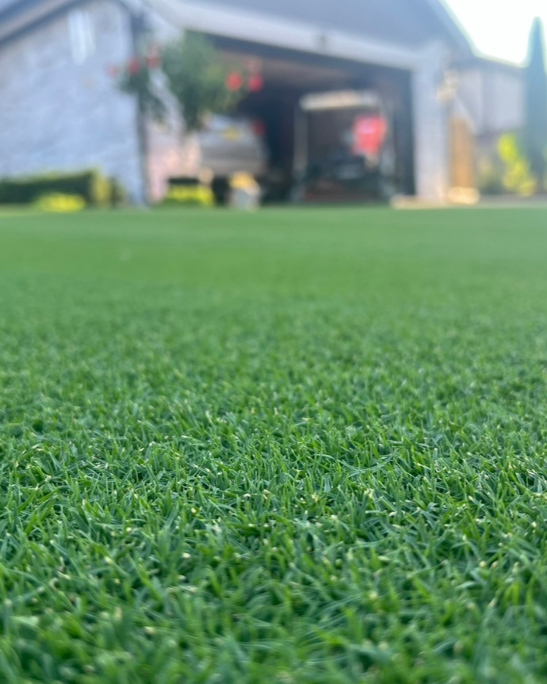 lawn weed control fertilization service Edmond OKC Yukon Mustang Oklahoma