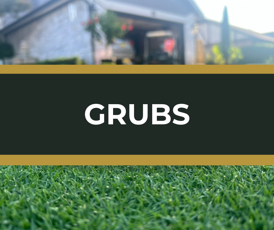 Edmond OKC Yukon Mustang Oklahoma Grub Control