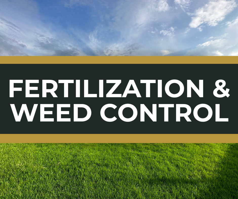 Fertilization and weed control service for a healthy green lawn in Oklahoma