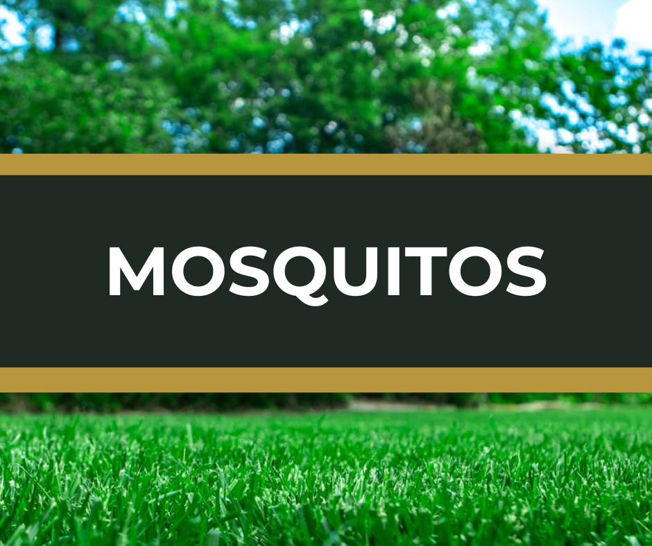 Mosquito control Edmond OKC Yukon Mustang