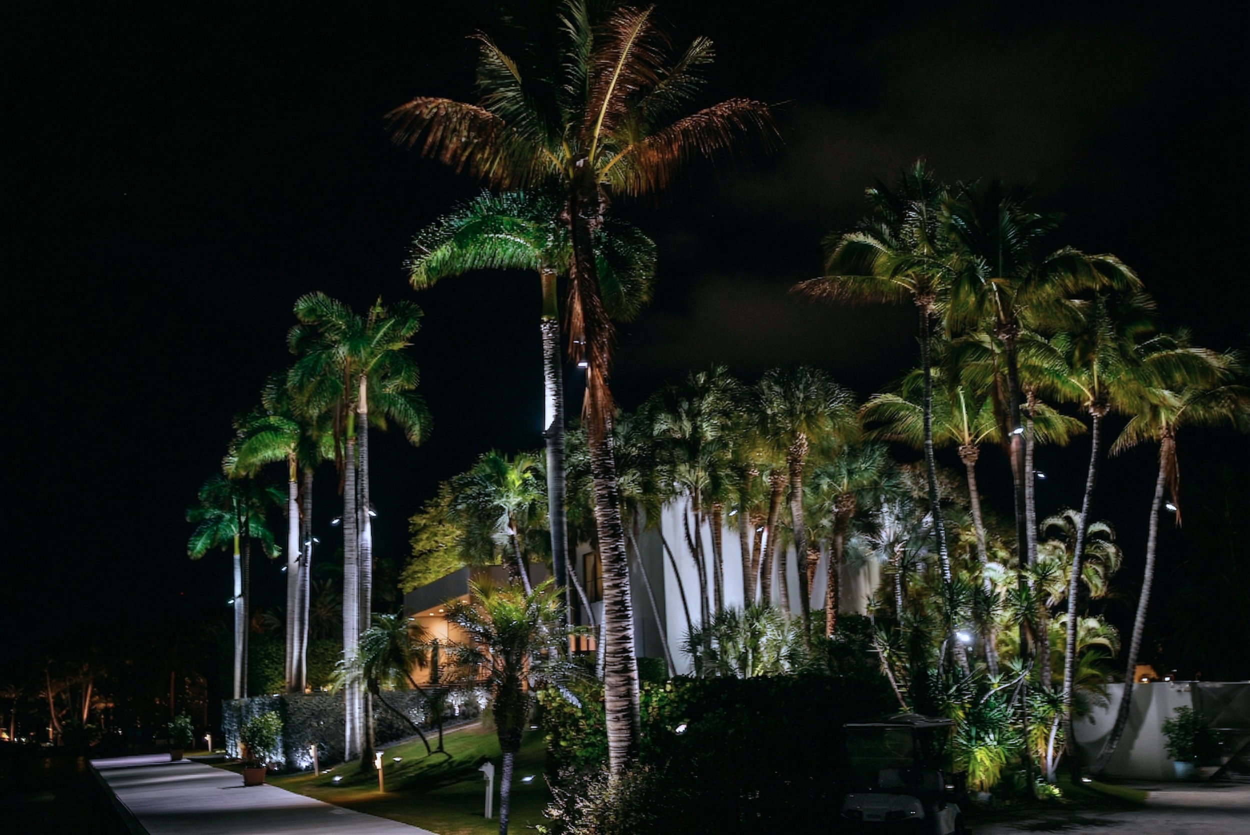 AI Night house pic from dock.png