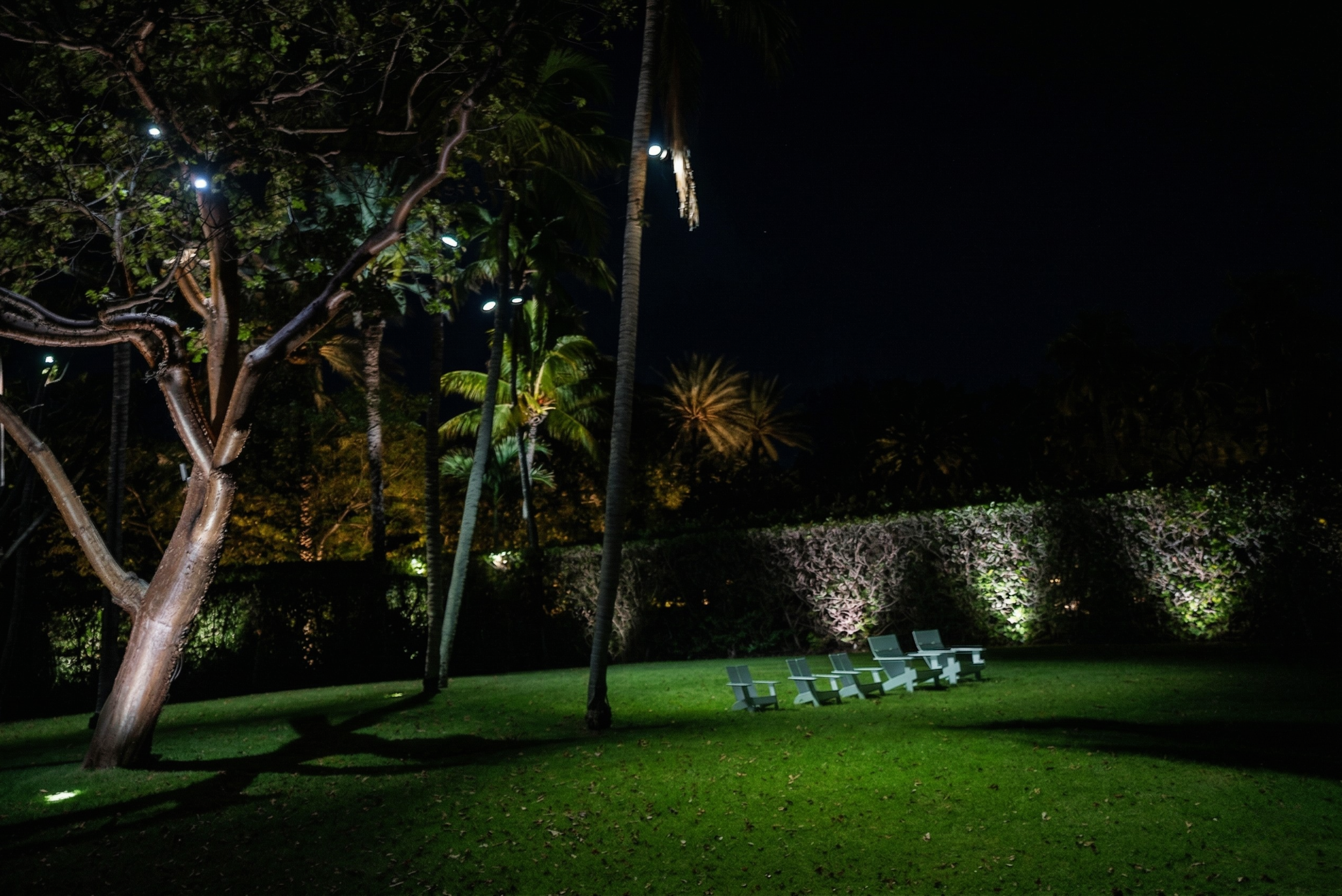 AI Night side yard.png