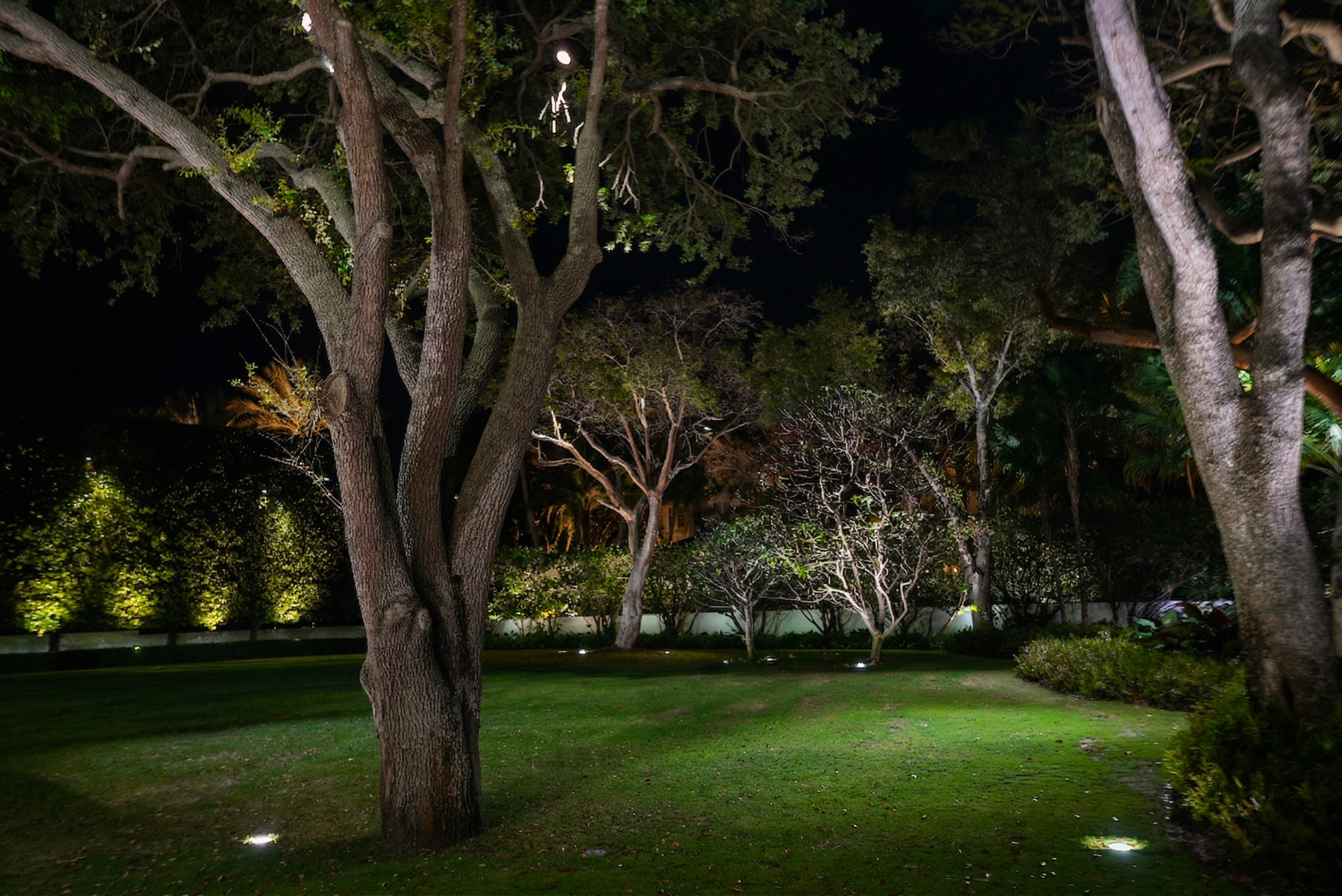 AI Night backyard lawn view.png