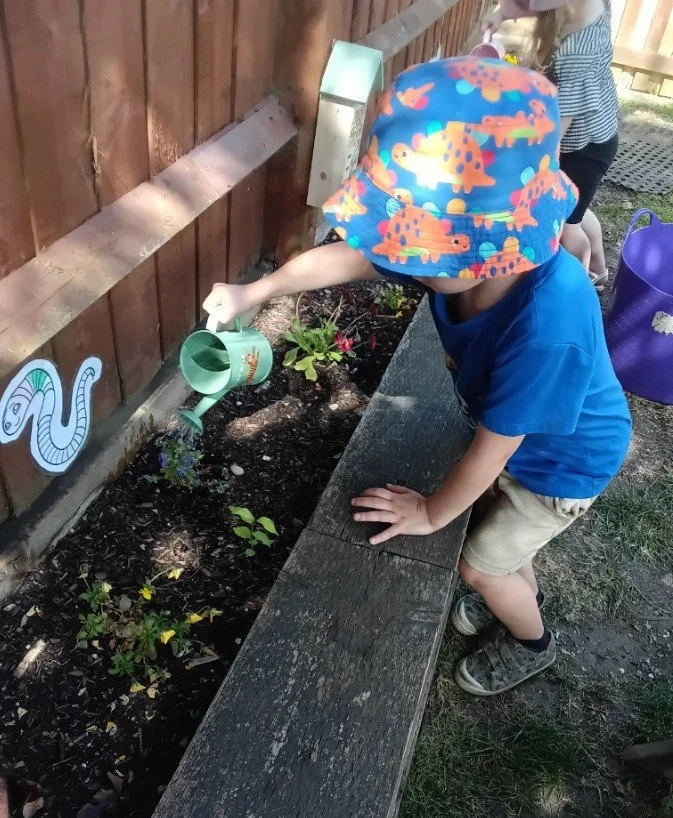 A toddler watering plants in our garden bed along a wooden fence.