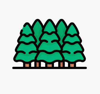 Cartoon illustration of several green pine trees with brown trunks.