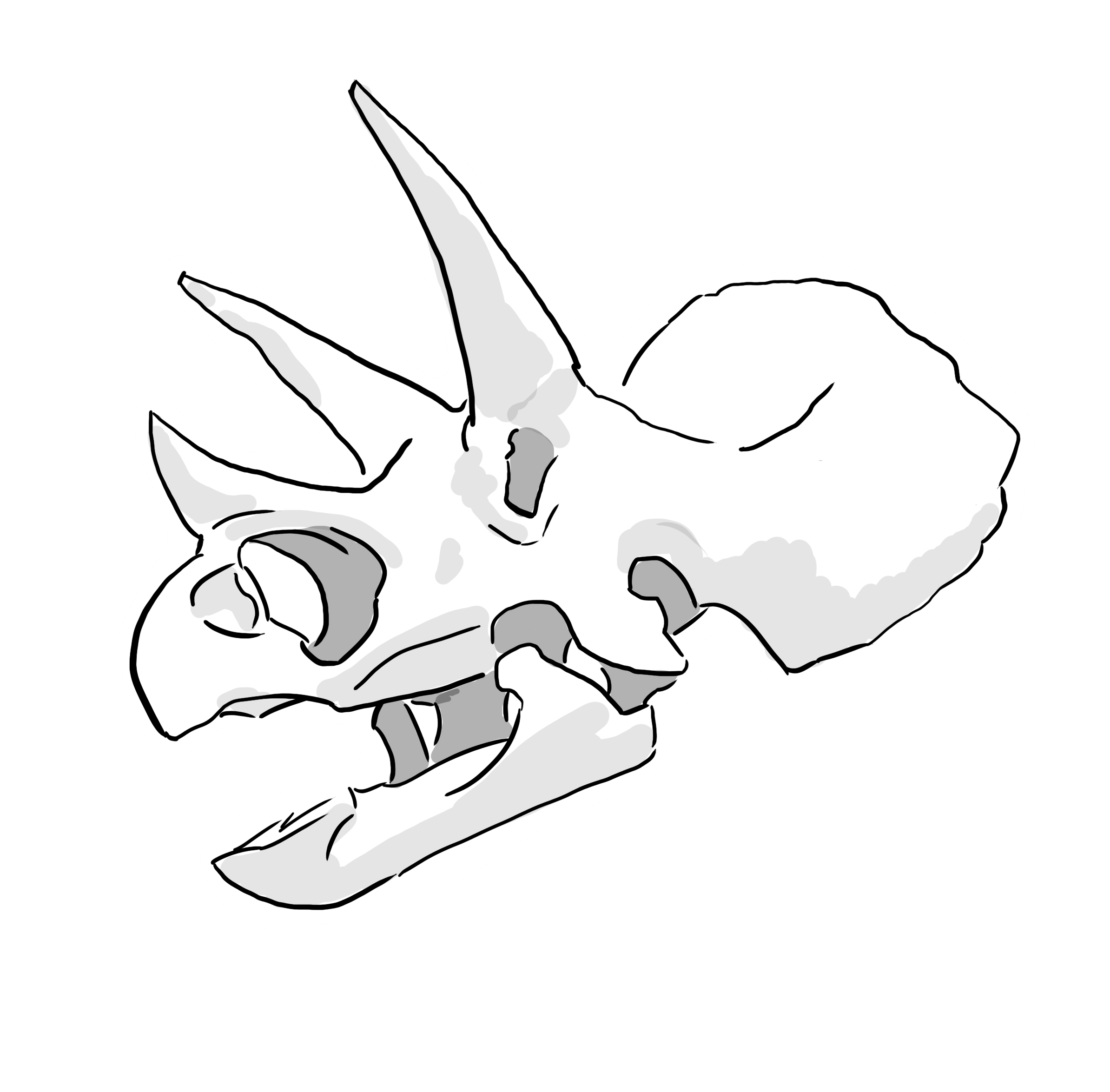 Black and white illustration of a dinosaur skull, likely a theropod, with sharp teeth and elongated snout.