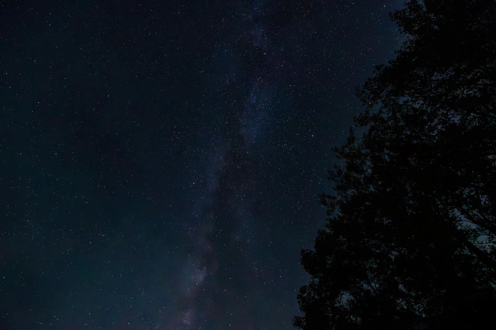 Night Sky.jpg