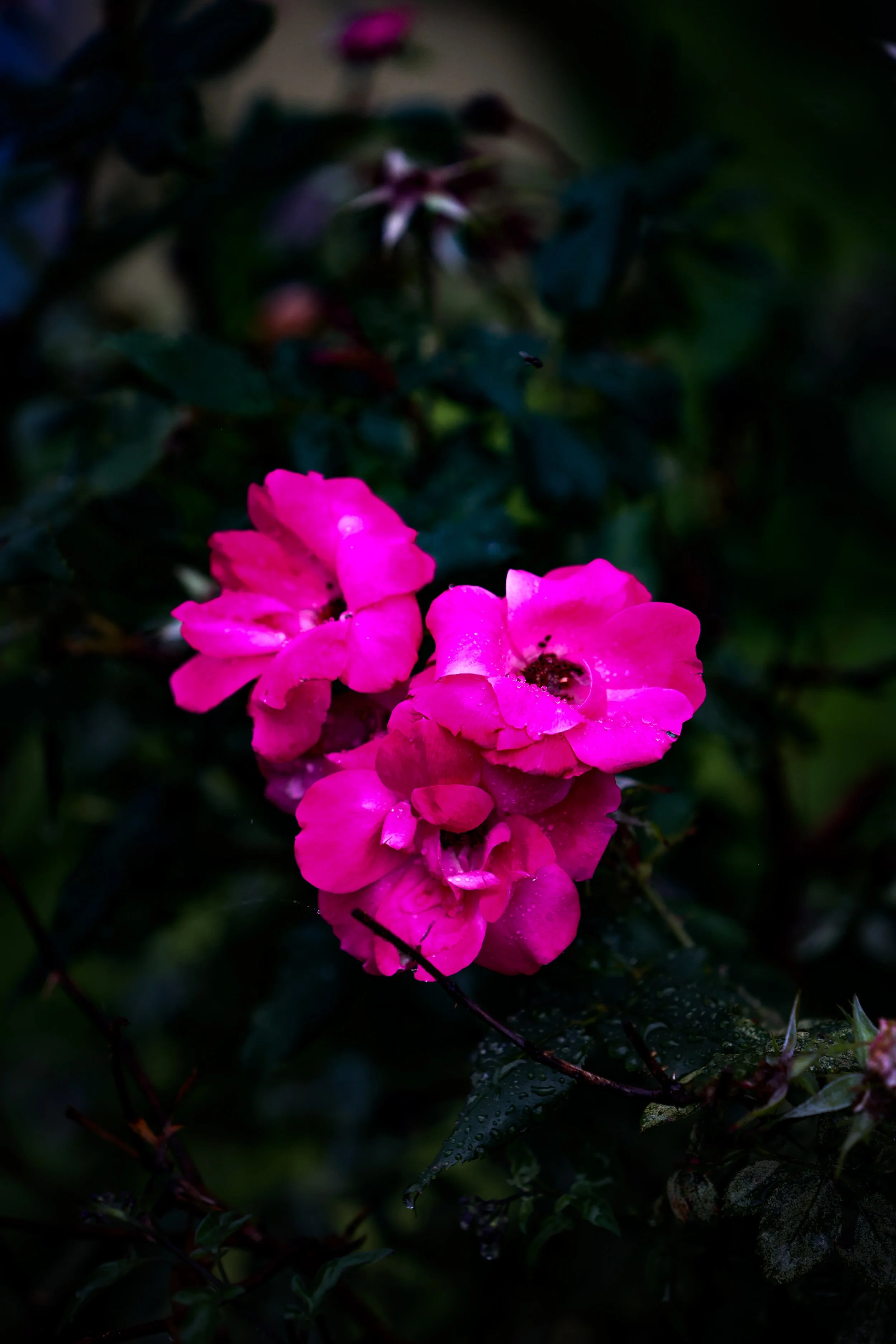146A0416.jpg