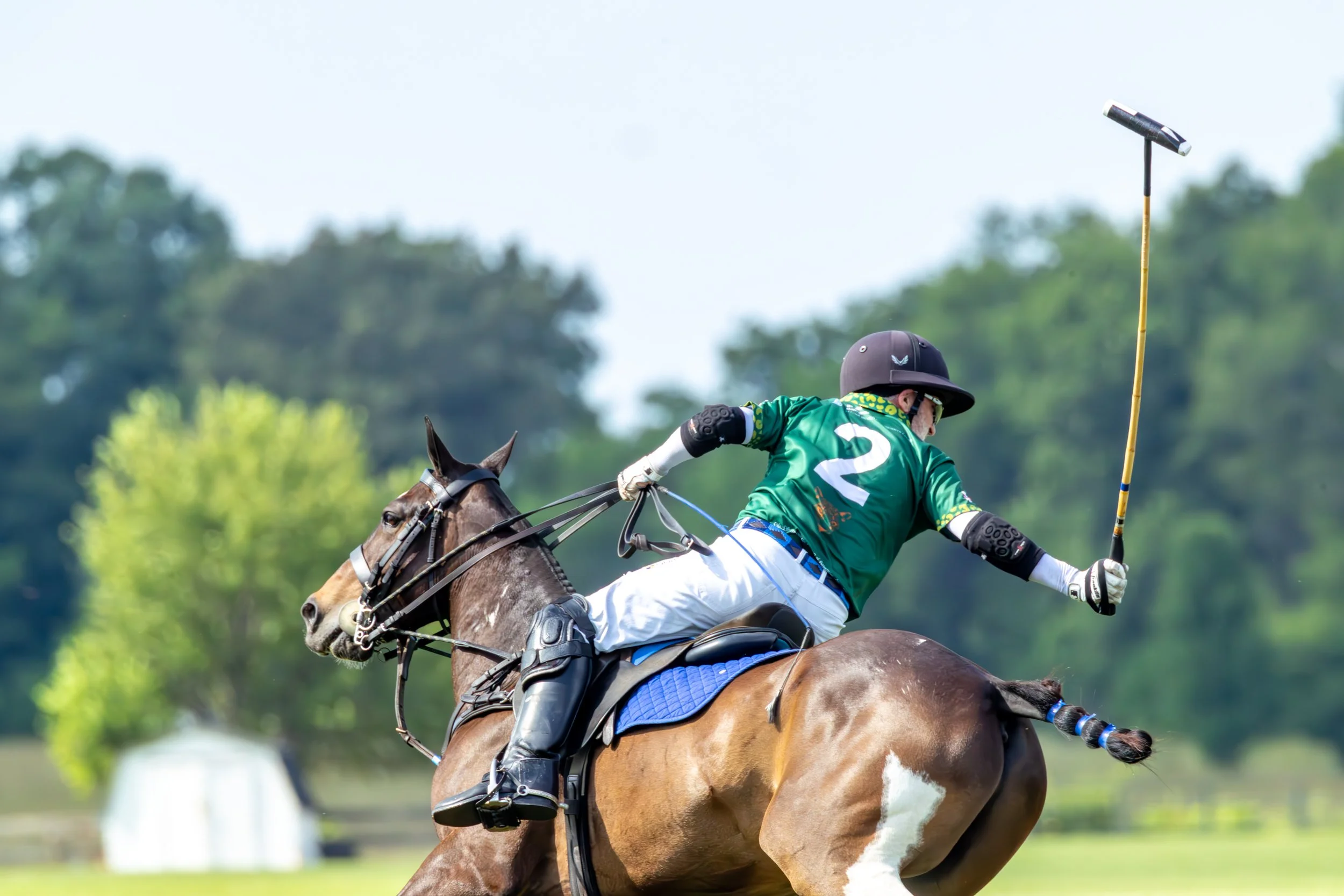 Sports