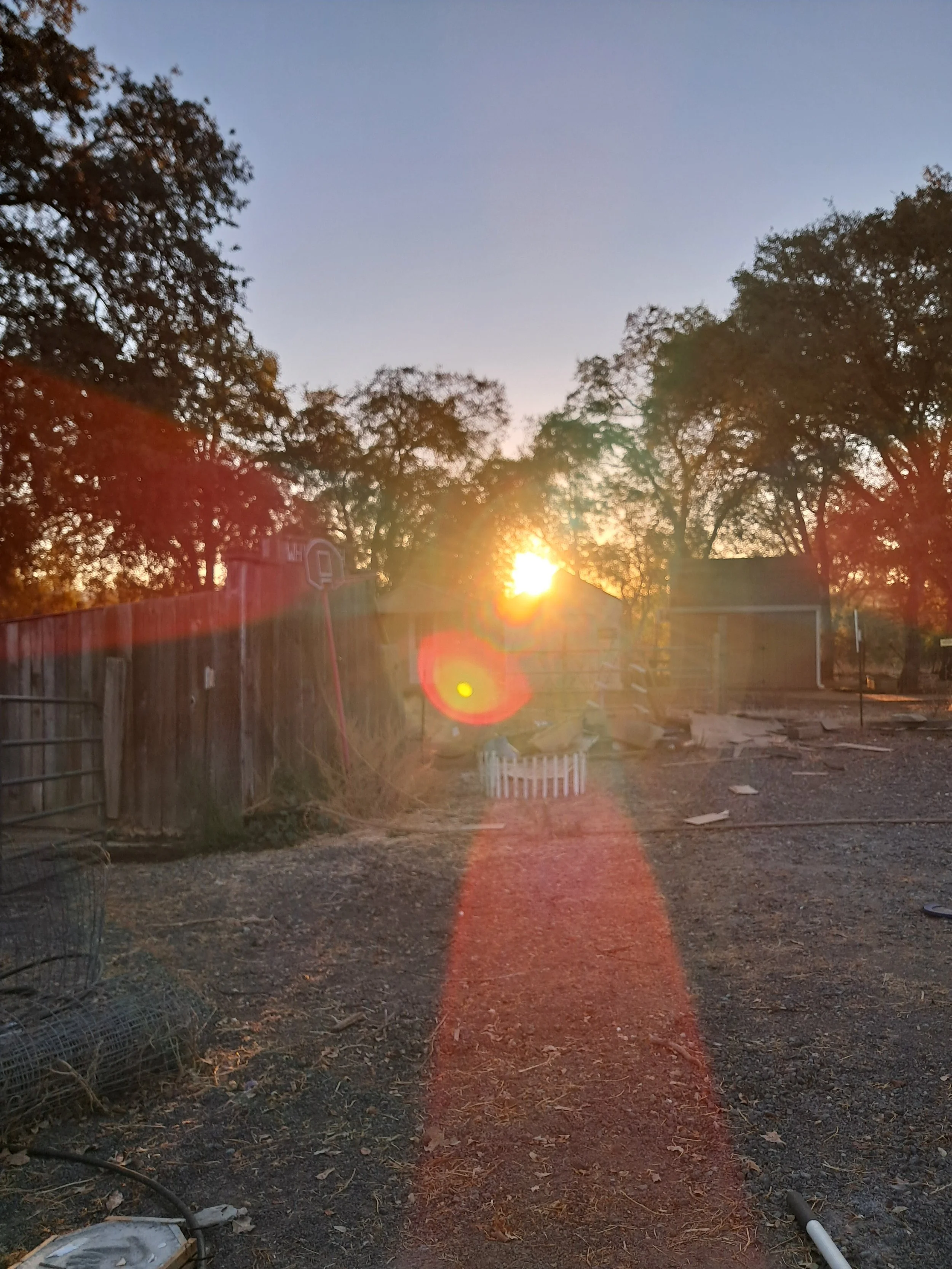 You Are Being Trained. Who is Your Trainer? 