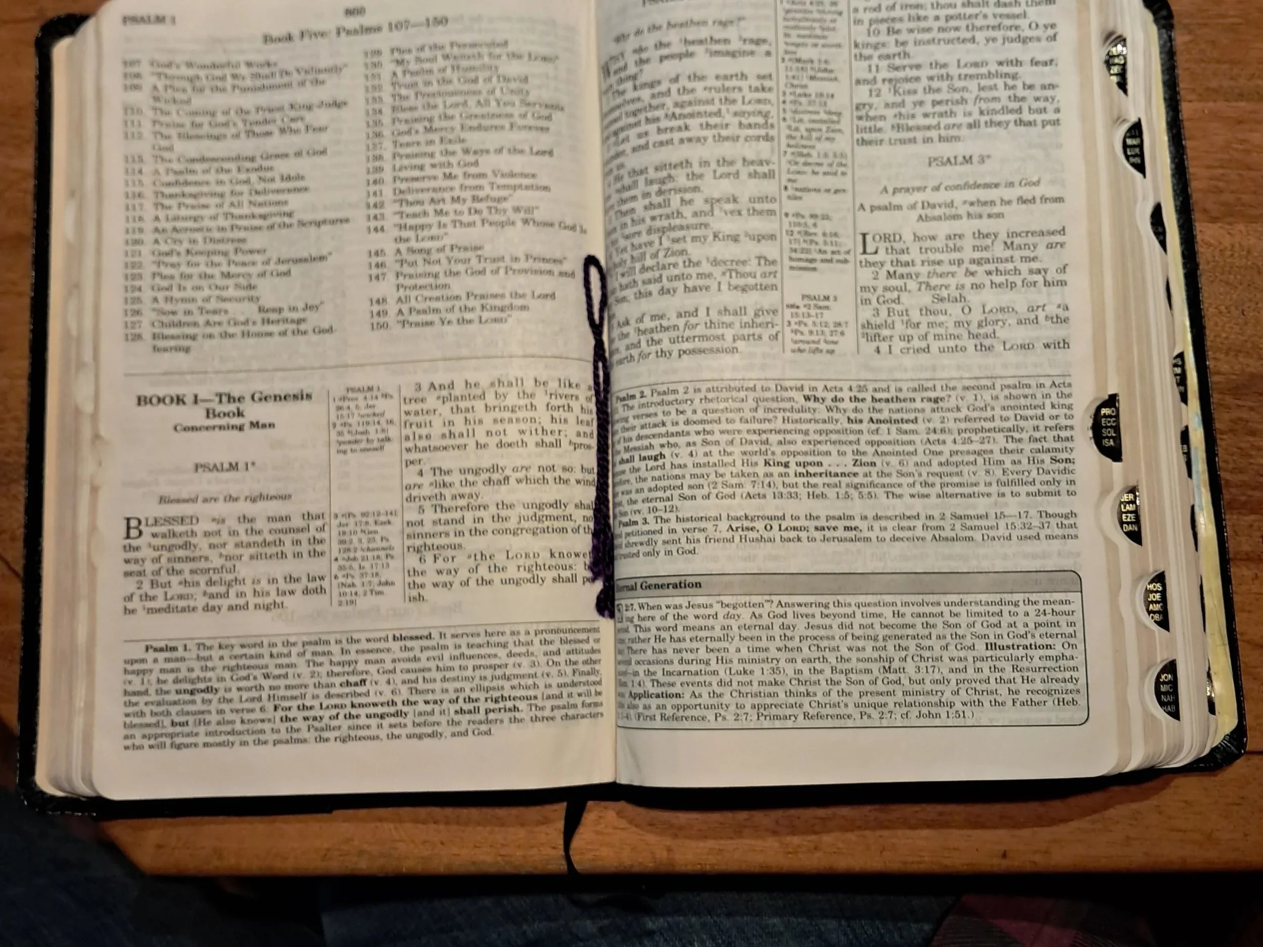 Verses for 2026: PSALM 91