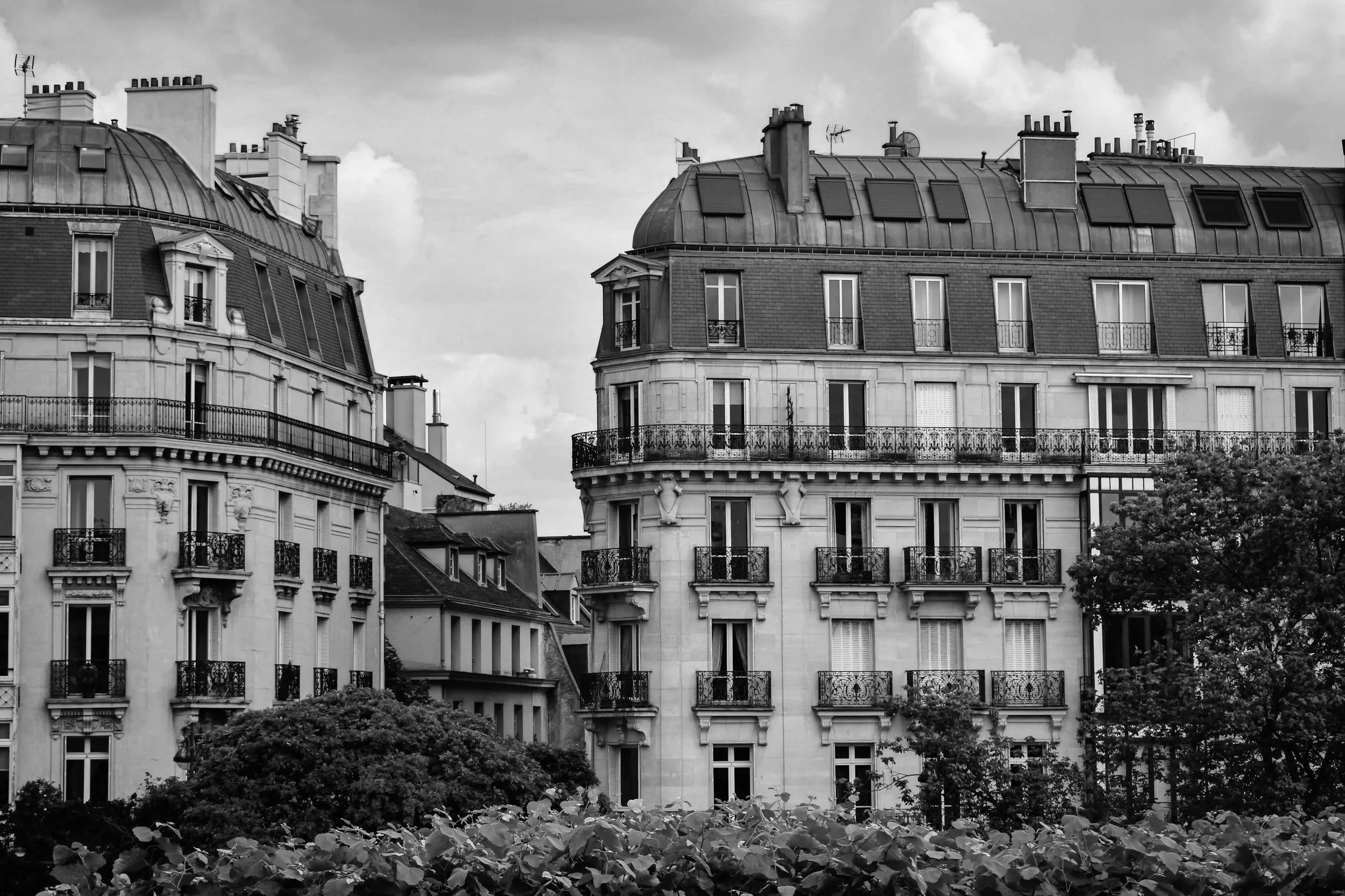 Immeubles parisiens haussmanniens avec balcons en fer forgé, toits en ardoise, et arbres au premier plan, en noir et blanc.